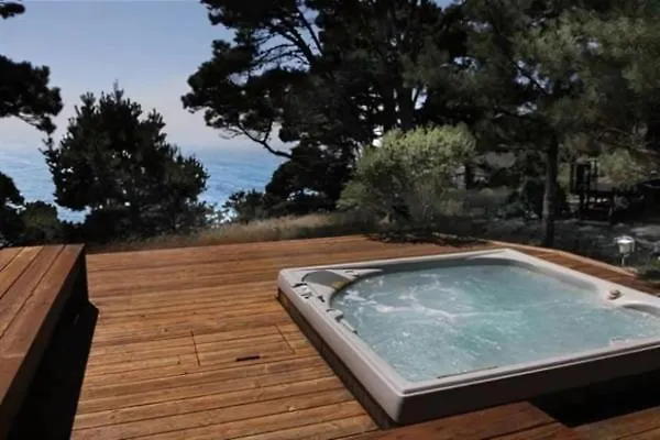 Ocean Bluff Serenity